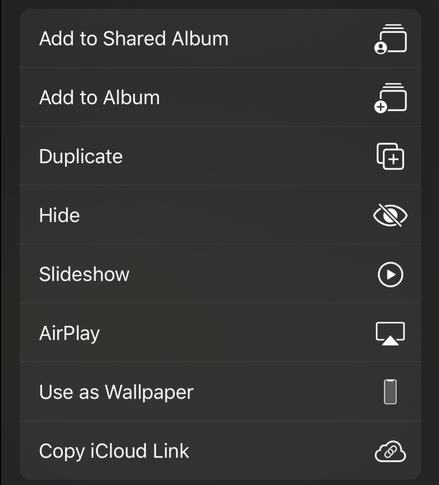 iOS 13 Share Actions